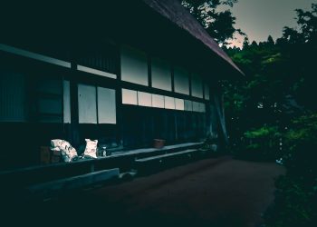 日本庭園,日本家屋,曇り,秋,屋外,ホラー