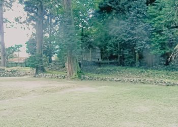 日本庭園,曇り,秋,屋外,昭和レトロ