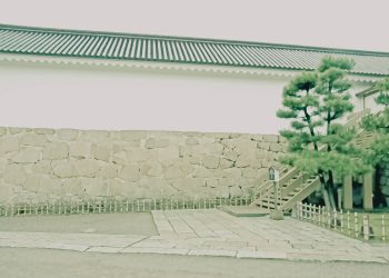 日本庭園,曇り,秋,屋外,昭和レトロ