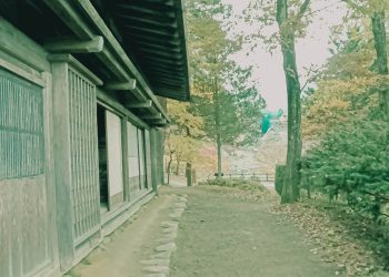 日本庭園,曇り,秋,屋外,昭和レトロ