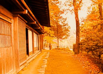 日本庭園,曇り,秋,屋外,ヴィンテージ