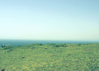 草原,アウトドア,屋外,夏,晴れ,昭和レトロ