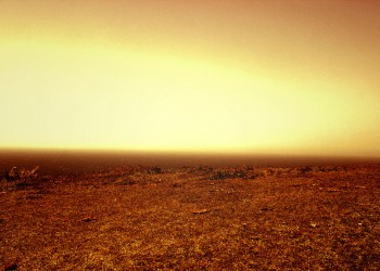 草原,アウトドア,屋外,夏,晴れ,ヴィンテージ