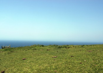 草原,アウトドア,屋外,夏,晴れ