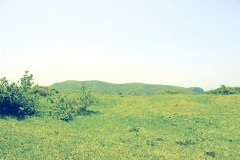 草原,アウトドア,屋外,夏,晴れ