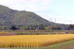 草原,村,屋外,秋,晴れ