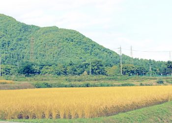 草原, 村, 屋外, 秋, 晴れ,昭和レトロ