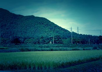 草原, 村, 屋外, 秋, 晴れ,ホラー