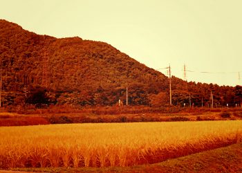 草原, 村, 屋外, 秋, 晴れ,ヴィンテージ