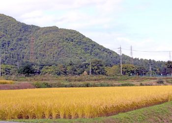 草原,村,屋外,秋,晴れ