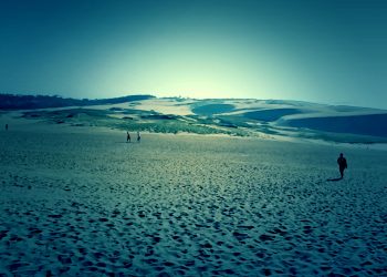 草原,砂丘,アウトドア,屋外,晴れ,ホラー