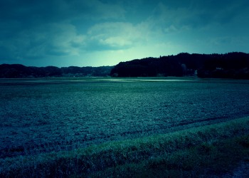 草原,村,屋外,春,曇り,ホラー