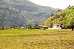 草原,村,屋外,春,曇り