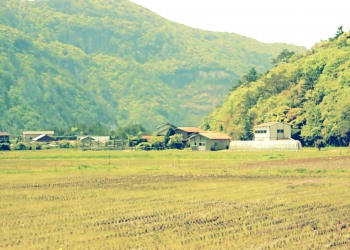 草原,村,屋外,春,曇り,昭和レトロ