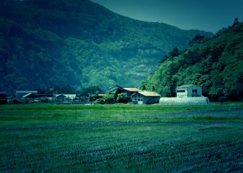 草原,村,屋外,春,曇り,ホラー