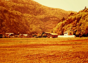 草原,村,屋外,春,曇り,ヴィンテージ