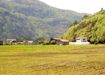 草原,村,屋外,春,曇り