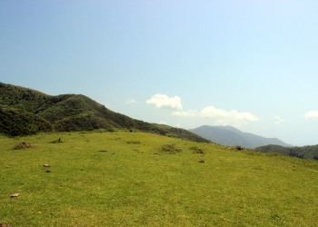 草原,アウトドア,晴れ,屋外,夏