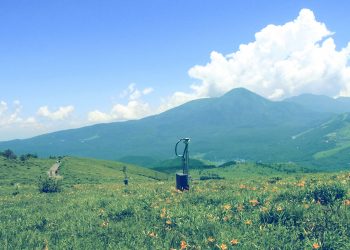 草原,アウトドア,屋外,夏,昭和レトロ