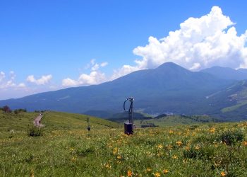 草原,アウトドア,屋外,夏
