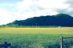 草原,アウトドア,屋外,夏