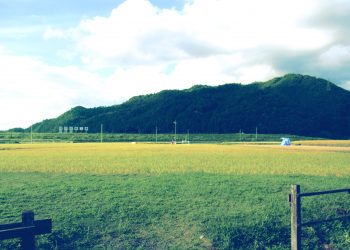 草原,アウトドア,屋外,夏,昭和レトロ