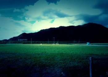 草原,アウトドア,屋外,夏,ホラー