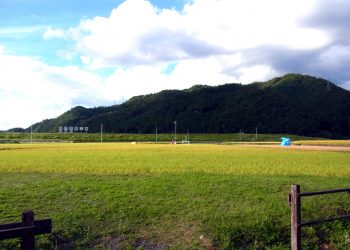 草原,アウトドア,屋外,夏