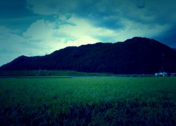 草原,アウトドア,屋外,夏,ホラー
