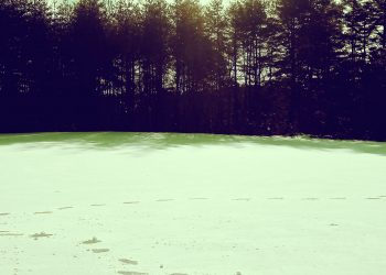 草原,雪原,アウトドア,晴れ,冬,屋外,昭和レトロ