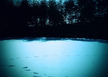 草原,雪原,アウトドア,晴れ,冬,屋外,ホラー