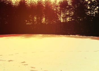 草原,雪原,アウトドア,晴れ,冬,屋外,ヴィンテージ