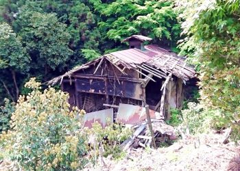 建物前,村,林道,屋外,夏,曇り,和風伝奇