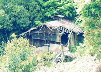 建物前,村,林道,屋外,夏,曇り,和風伝奇,昭和レトロ
