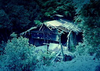 建物前,村,林道,屋外,夏,曇り,和風伝奇,ホラー
