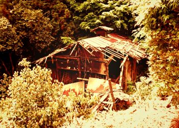 建物前,村,林道,屋外,夏,曇り,和風伝奇,ヴィンテージ