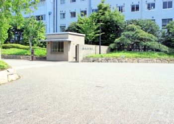 建物前,町,夏,屋外,晴れ