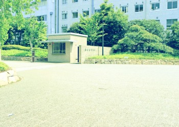 建物前,町,夏,屋外,晴れ,昭和レトロ