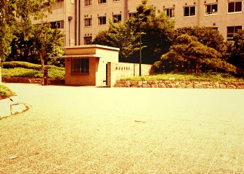 建物前,町,夏,屋外,晴れ,ヴィンテージ