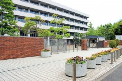 建物前,都市,屋外,春