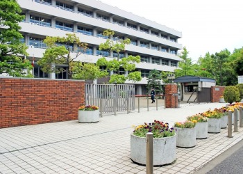 建物前,都市,屋外,春