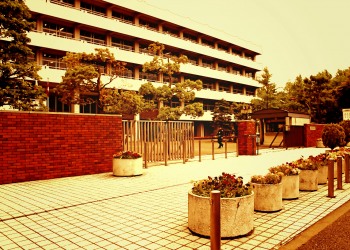 建物前,都市,屋外,春,秋,ヴィンテージ
