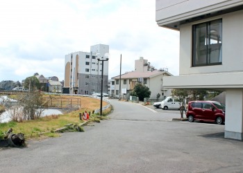 建物前,町,屋外,春