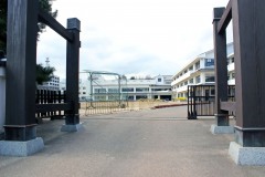 建物前,町,屋外,春