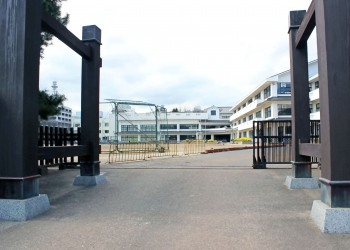建物前,町,屋外,春