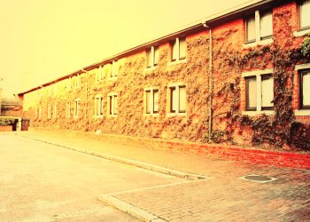 建物前,町,曇り,屋外,ヴィンテージ