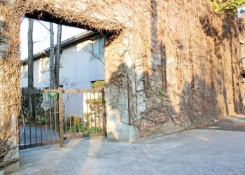 建物前,町,曇り,屋外