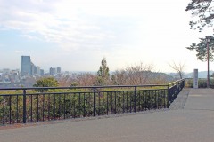 展望,都市,秋,屋外,曇り