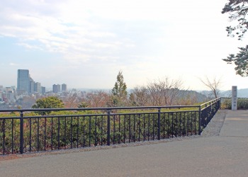 展望,都市,秋,屋外,曇り