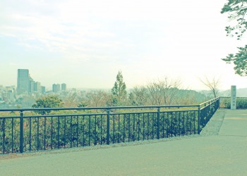 展望,都市,秋,屋外,曇り,昭和レトロ